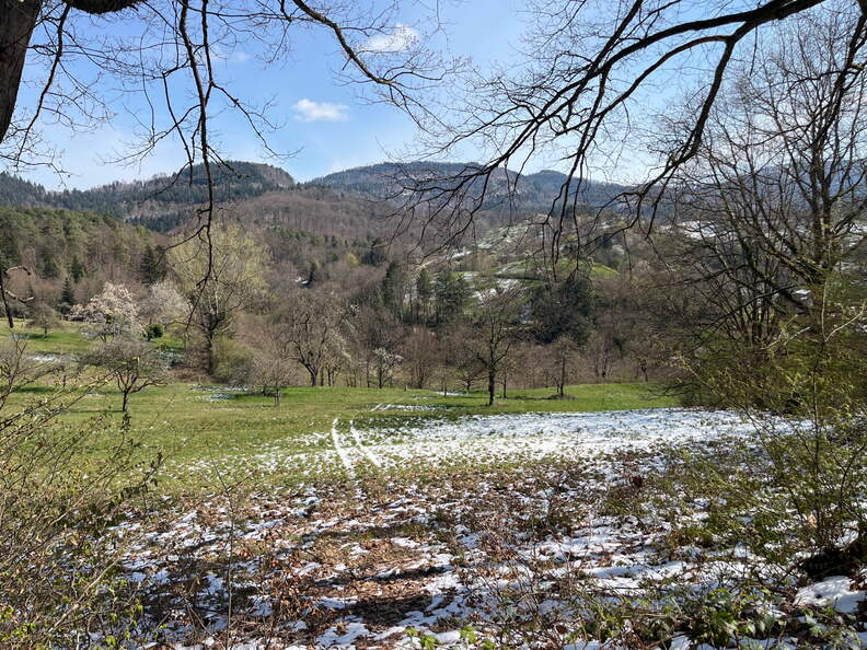 22-04-04 11-50-05 0358